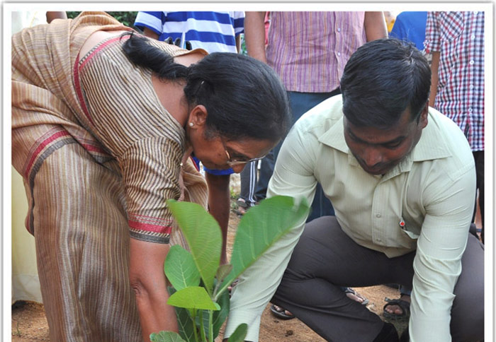 greener-abhyasa-2015