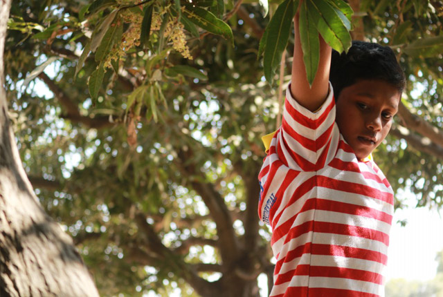 Adventure Camp on Republic Day