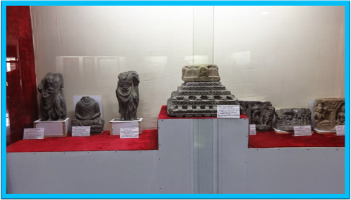 Field Trip to Nagarjuna Sagar 2017