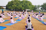 International Yoga Day 