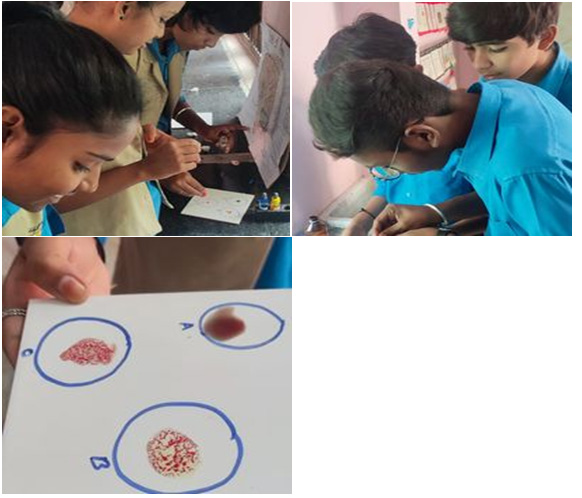 School Eye Screening Program