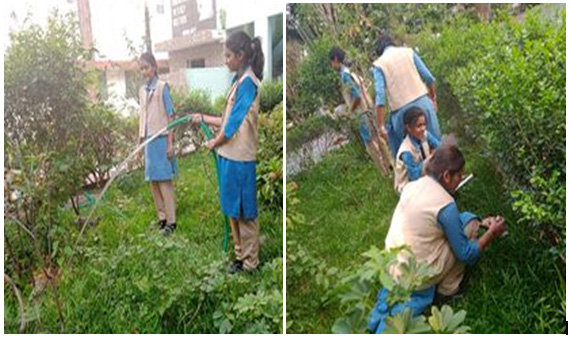 World Environment Day